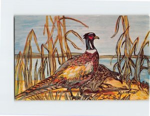 M-126304 Pheasants Painting By Nyla Thompson