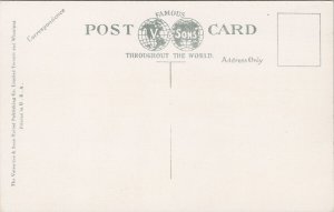 High Level Bridge Edmonton Alberta AB Train Railway Unused Postcard E81