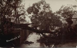 south africa, PORT ELIZABETH, Havelock Street, Storm Damage (1913) RPPC