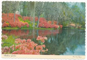 Charleston SC, South Carolina - Pond View at Middleton Gardens - DPO 1981