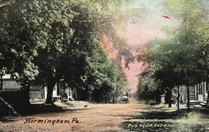 Vintage Postcard 1910 View of Birmingham Street Pennsylvania PA