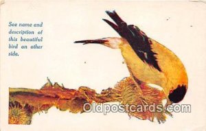 Des Moines, Iowa, USA American Goldfinch Unused 