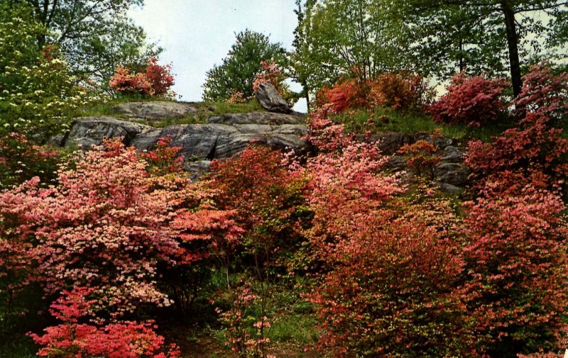 NY - New York City. Bronx Park, Botanical Garden