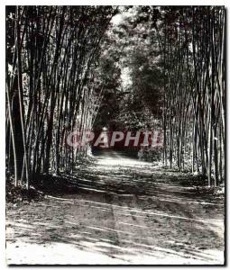 Postcard Old Domine Prafrance by Generargues Gard Anduze Phone Allee Bamboo L...