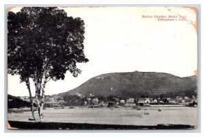 Dillingham's Point Camden Maine ME DB Postcard Y1