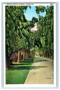 C1915 Kearny Drive Fresno California. Postcard P148