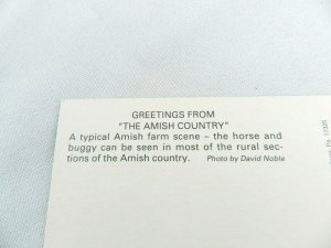 VINTAGE POSTCARD AMISH HORSE AND BUGGY PENNSYLVANIA LANCASTER UNUSED