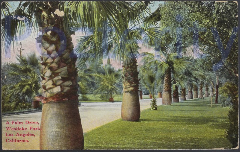 A PALM DRIVE WESTLAKE PARK 1909   LOS ANGELES CALIFORNIA