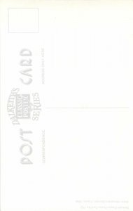 Postcard Advertising drawing fantasy cat cabaret du chat noir