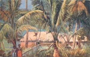 Raphael Tuck series FIJI landscapes & local motifs ethnic life postcards lot 