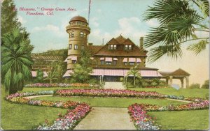 The Blossoms Orange Grove Avenue Pasadena California Unused Newman Postcard F55