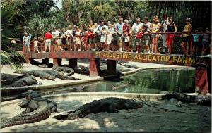 St. Augustine Florida Alligator Farm Bridge with Spectators Vintage Postcard J12