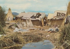 Uros Cultura Peru Rush Boats & Houses Rare Postcard