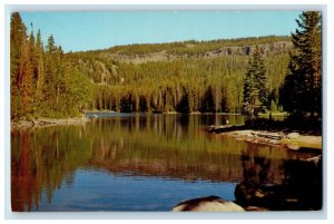 View Of Mesa Lake Grand Mesa National Forest Western Colorado CO Postcard