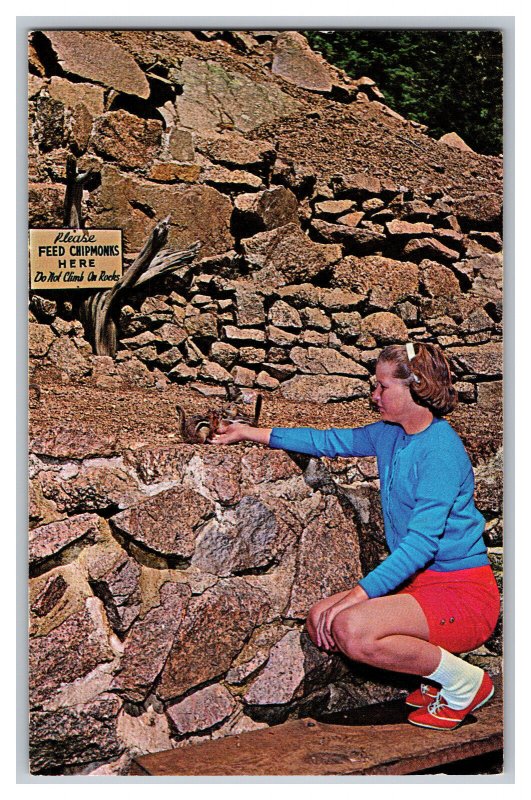 Postcard CO Feeding Chipmunks Seven Falls Colorado Vintage Standard View Card
