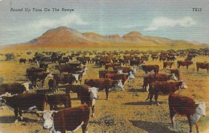Round up tome on the range Cow Postal Used Unknown 