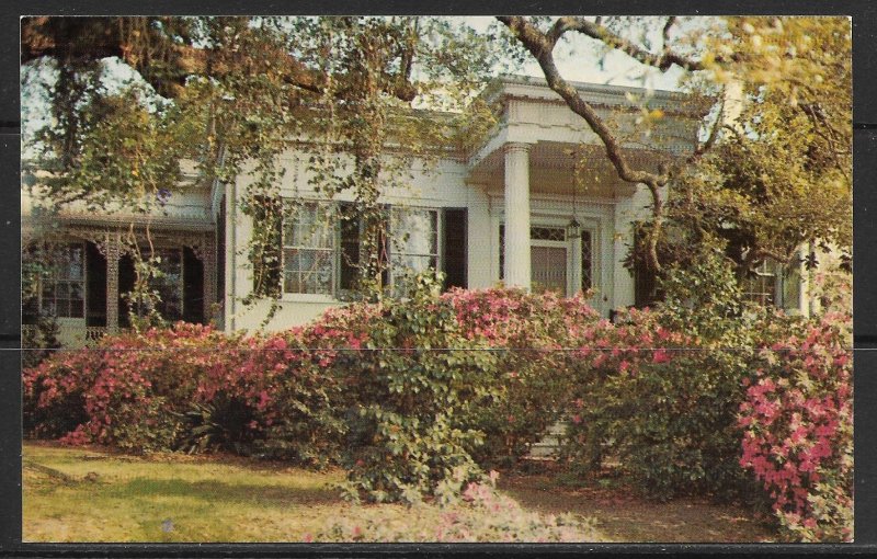 Mississippi, Natchez - Green Leaves - [MS-044]