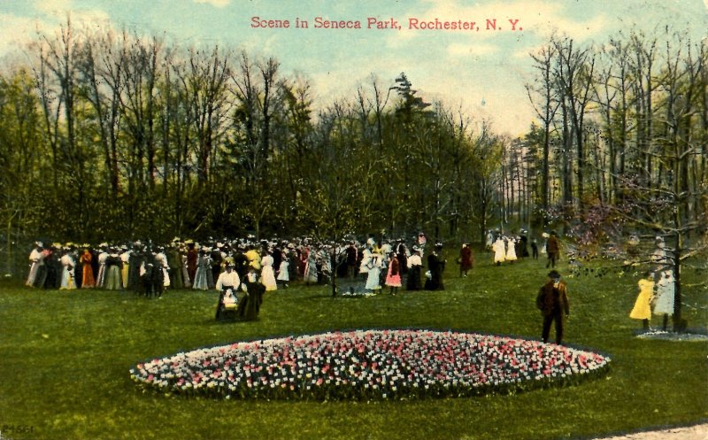 NY - Rochester. Seneca Park Scee