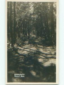 1920's RPPC - NORMANDY - PATH FOR CARS THRU THE FOREST Pequot Minnesota MN p2345