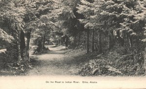 Vintage Postcard 1900's View On the Road to Indian River Sitka Alaska AK