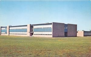 Shelbyville Indiana~New High School Building~Home of Golden Bears~1950s Postcard