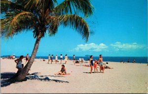 Vtg 1960s Beach Scene Palm Tree Clearwater Florida FL Chrome Postcard