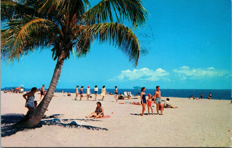 Vtg 1960s Beach Scene Palm Tree Clearwater Florida FL Chrome Postcard