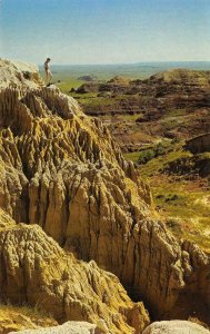 Badlands & Pine Montana Border Plains c1950s Chrome Vintage Postcard