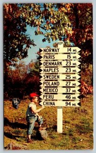 Sign Post In  Maine   Postcard   1958
