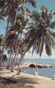 Waterfront Vizcaya Dade County Art Museum Miami Florida