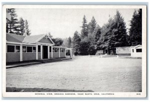 c1910 General View Sequoia Gardens Exterior Near Santa Cruz California Postcard 