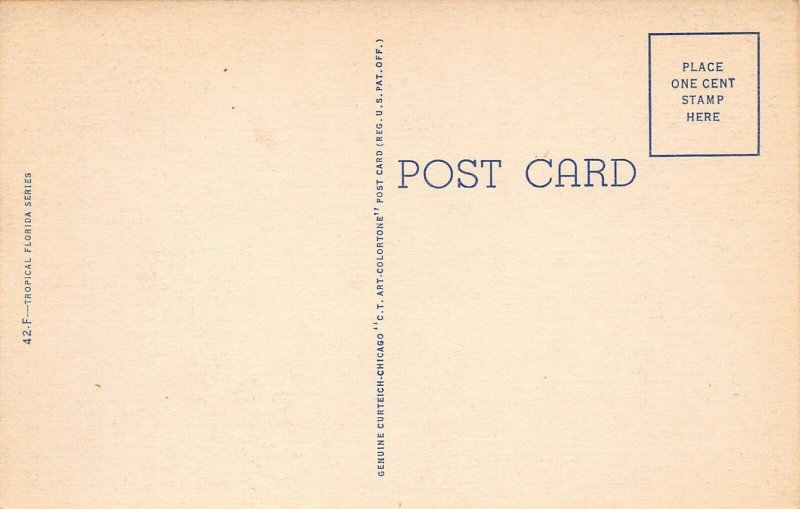 LPA84 Florida Postcard State Map 