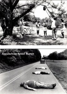 2~4X6 Humor Postcards  APPALACHIAN PINATA~Bee Hive & SPEED BUMPS~Lying In Road