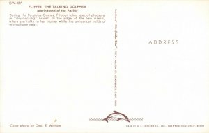 Postcard Flipper Marineland of the Pacific California