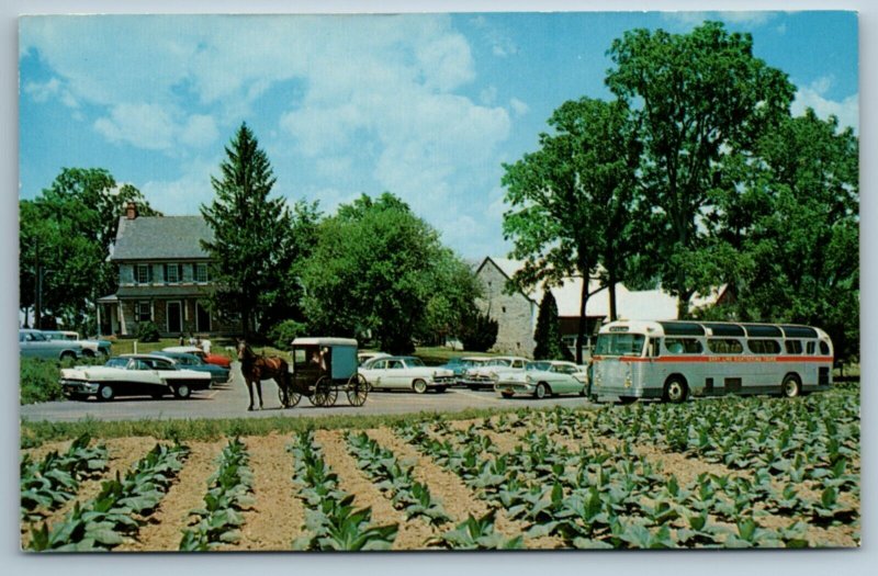 Circa 1960 Amish House & Farm, near Lancaster, PA Postcard
