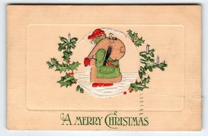 Santa Claus Christmas Postcard Green Coat Swatch Bristles H L Woehler Germany