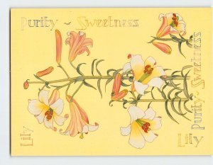 Postcard Language Of Flowers (Lily)