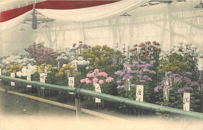 Japan Flowers Show Display hand colored C-1910 Postcard 22-10730