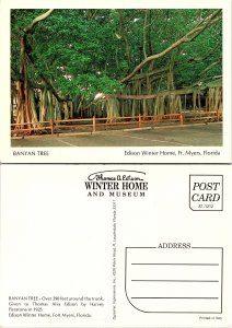 Banyan Tree, Edison Winter Home, Ft. Myers, Florida