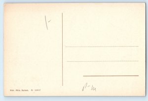 North Rhine-Westphalia Germany Postcard Siegen Market Square c1910 Antique