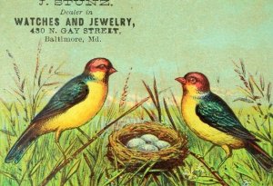 1870's-80's Lovely Parrots Birds Nest J. Stunz Watches Jewelry Card F91