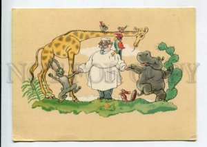 429647 Doctor Aybolit GIRAFFE Squirrel hippopotamus by FRIDKIN 1957 year russian