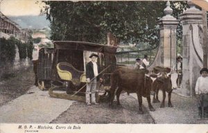 Portugal Madeira Carro de Bois Ox Cart