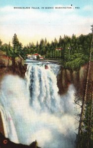 Vintage Postcard Snoqualmie Falls Waterfalls Pine Trees Nature Scenic Washington