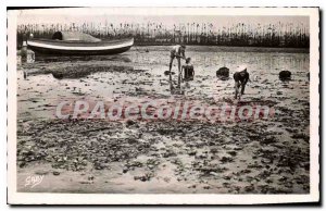 Old Postcard Arcachon Basin Oysters Pans