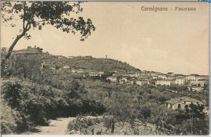 49591 vintage postcard - PRATO province: Carmignano-