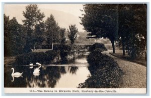 Phelps NY Postcard RPPC Photo The Swans In Kirkside Park Roxbury In The Catskill