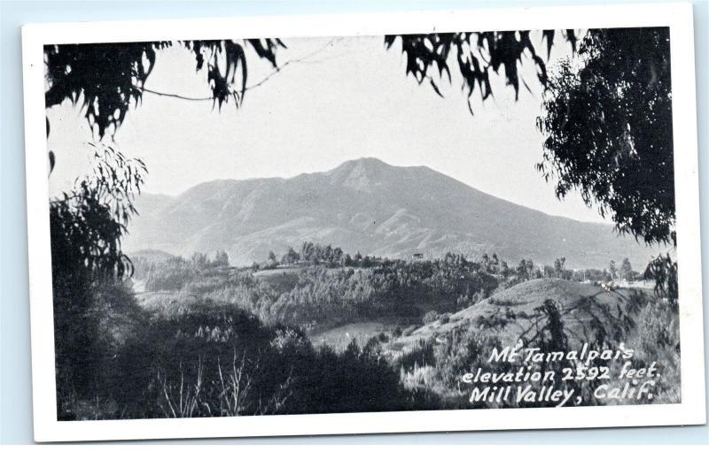 *Mount Mt Tamalpais Mill Valley California CA Vintage Postcard C25