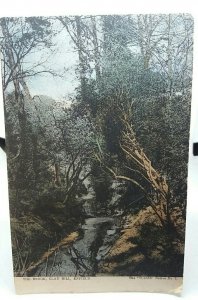 The Brook Clay Hill Enfield London Vintage Antique Postcard 1905
