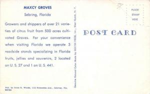 Florida Sebring    Maxcy Groves Souvenir Stand and Fruit